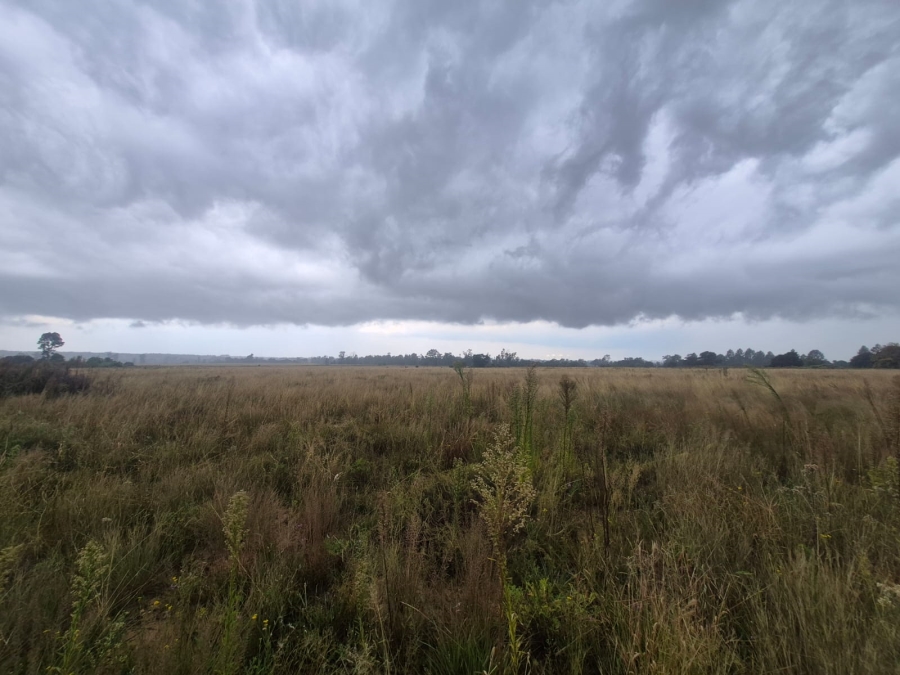 0 Bedroom Property for Sale in Vaalpark Free State